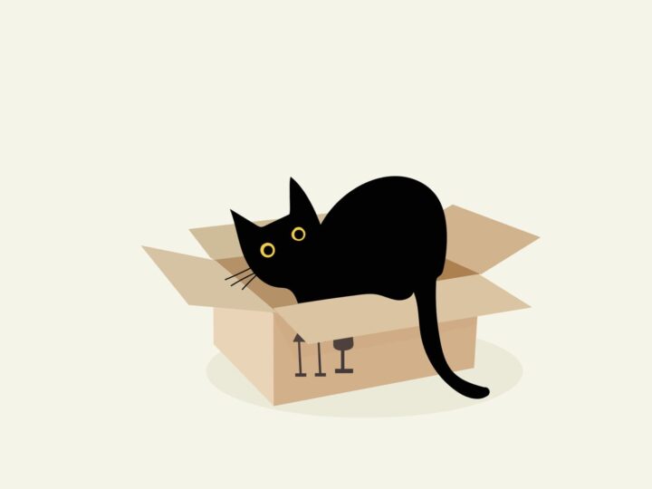 Globe-Trotting Cats